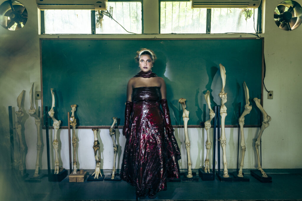 foto diego bresani 1