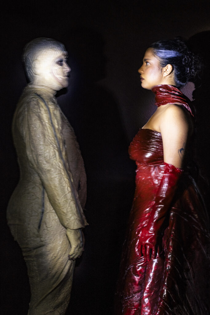 foto diego bresani 5