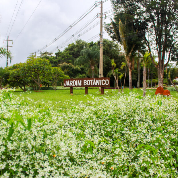 Foto: Divulgação/JBB