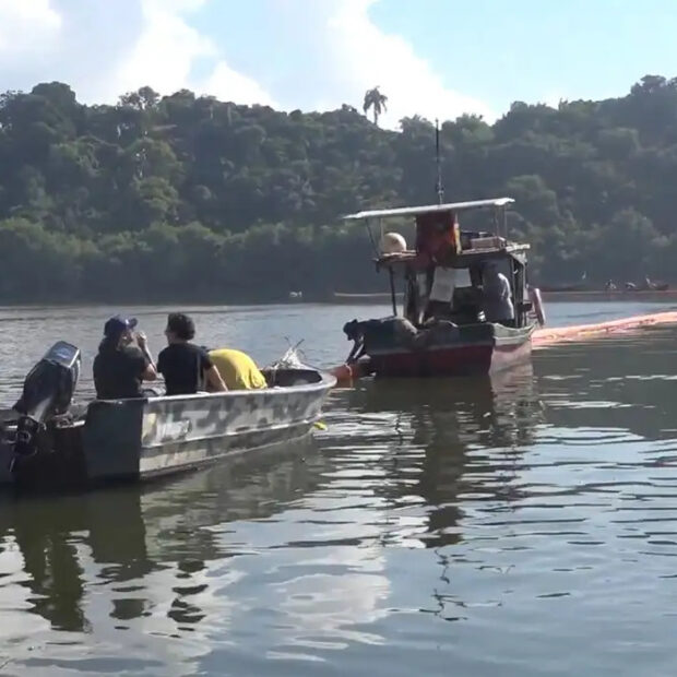 óleo na baía de guanabara