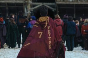 harry potter