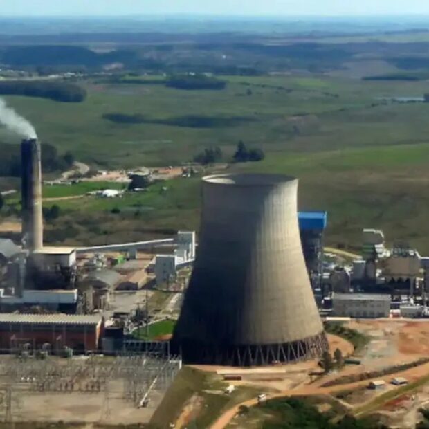 Foto: Ibama/Divulgação