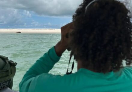 Foto: Instituto Biota de Conservação/Divulgação