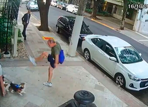 agressão cães de irmã do ministro zanin