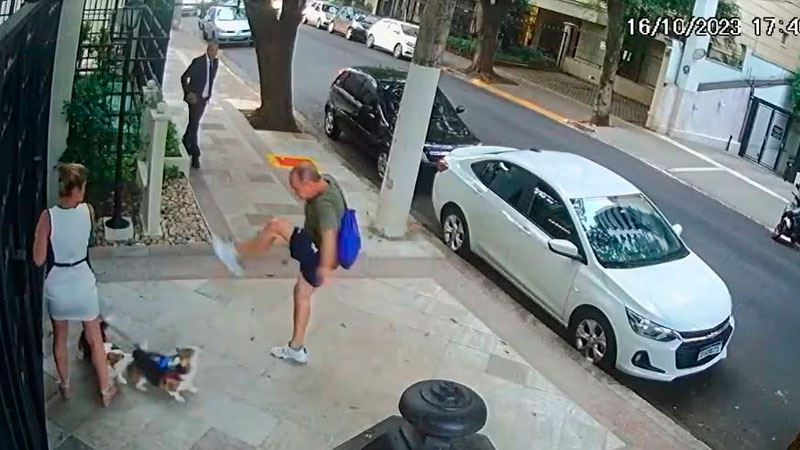 agressão cães de irmã do ministro zanin