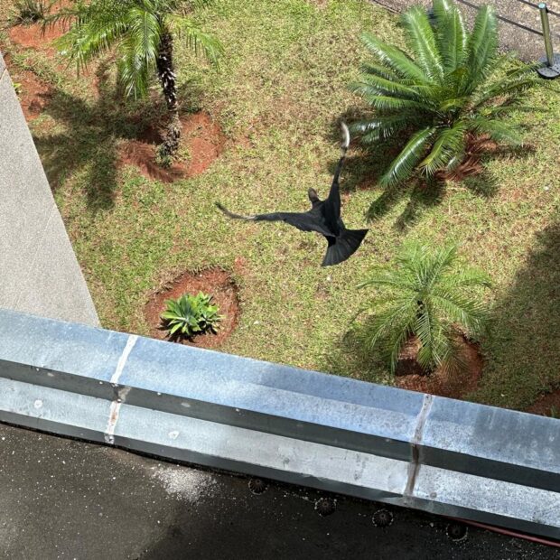 whatsapp image 2026 03 26 at 17.52.24 (2)