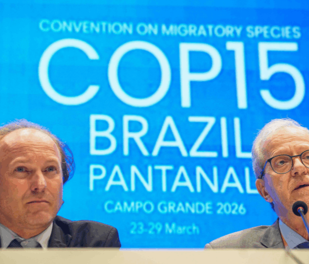 5db6b582 0790 4f66 bf95 f586f7176293