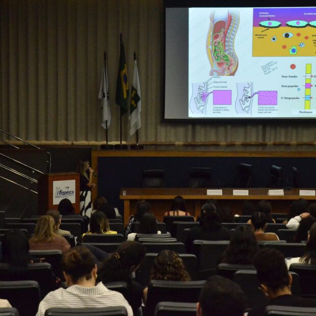 Foto: Agência Saúde-DF