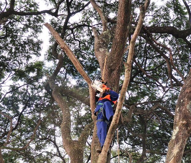 Foto: Arquivo/Agência Brasília