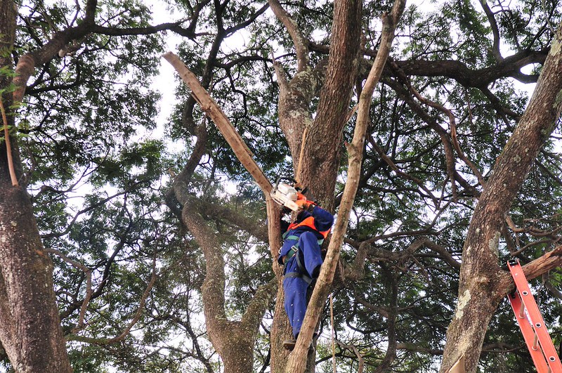 Foto: Arquivo/Agência Brasília