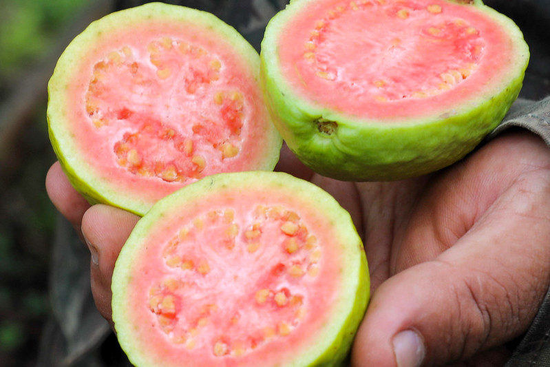 Foto: Paulo H. Carvalho/Agência Brasília