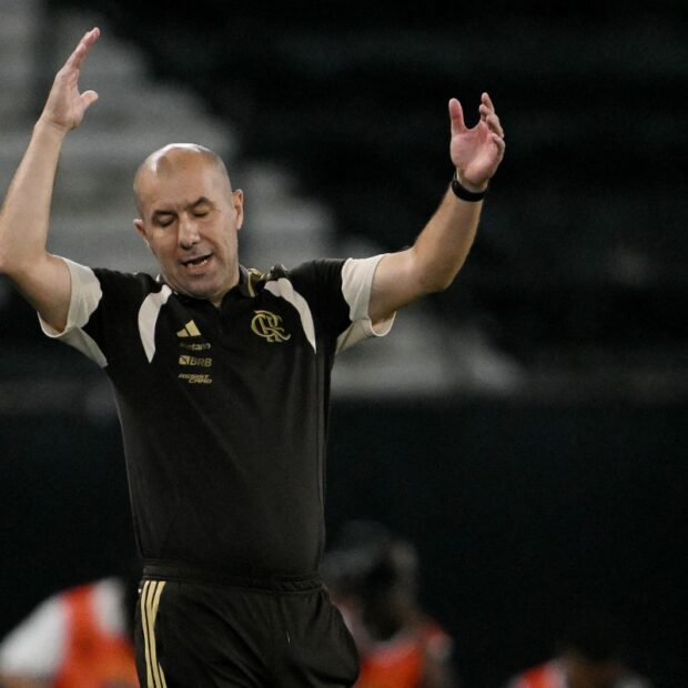 fbl bra botafogo flamengo