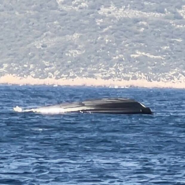 greece eu politics migration accident