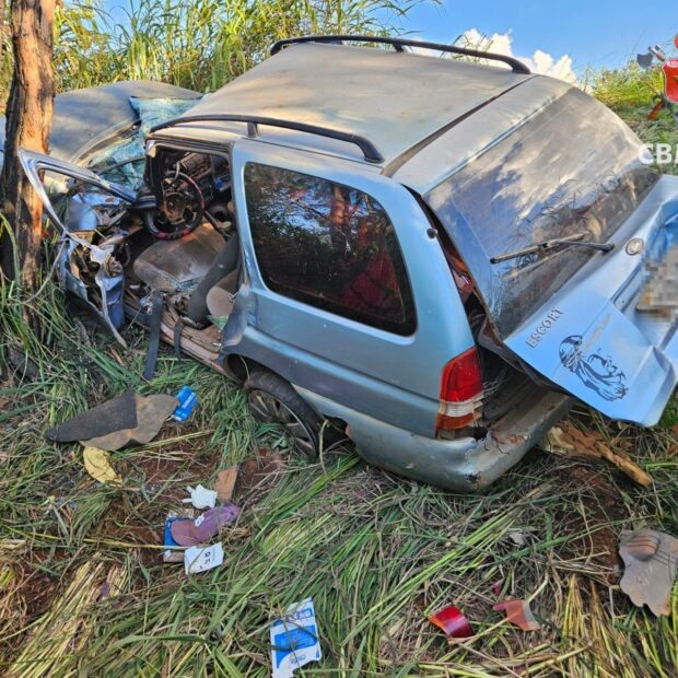 whatsapp image 2026 03 28 at 18.41.01