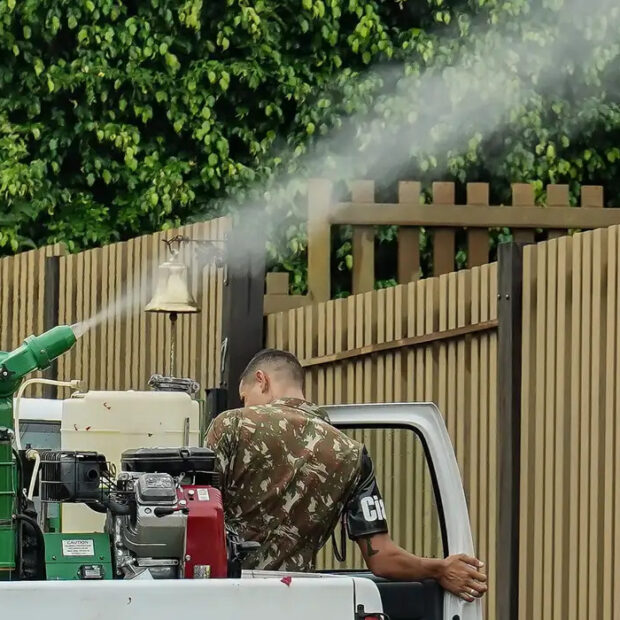 vacina contra chikungunya