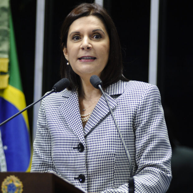 maria elizabeth guimarães teixeira rocha