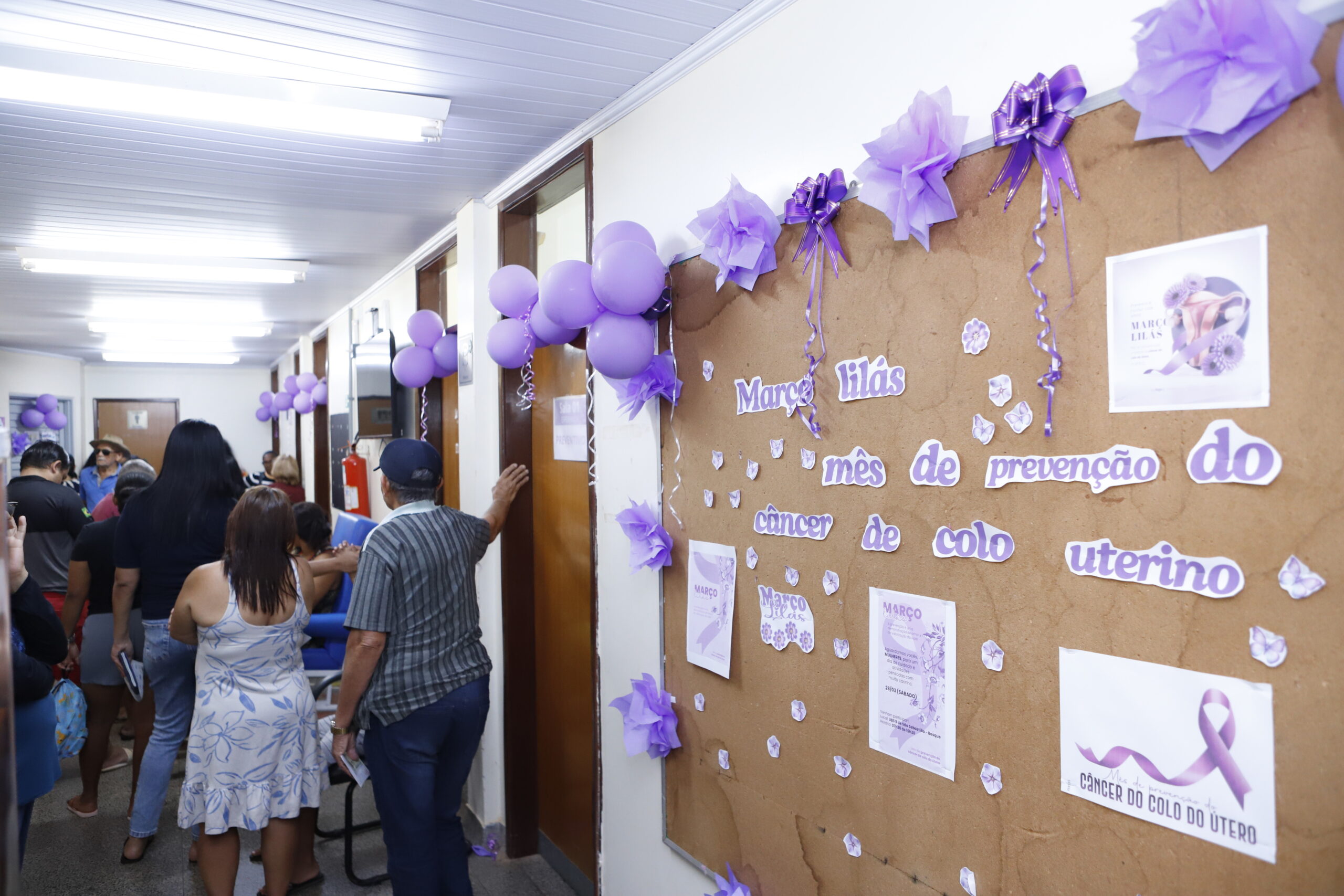 55173136741 b19c47308d o