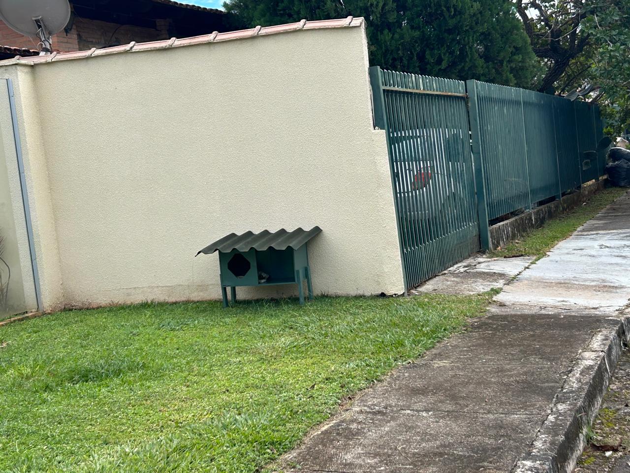 Moradores denunciam retirada de abrigos para gatos em condomínio no DF