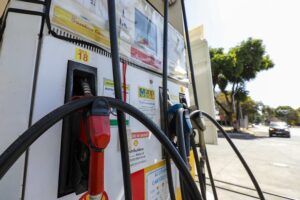 whatsapp image 2026 04 01 at 17.10.40 (1)