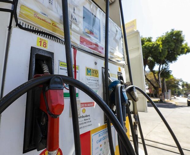 whatsapp image 2026 04 01 at 17.10.40 (1)