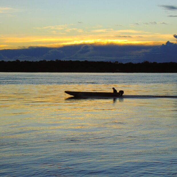 lecoallan nature 3300348