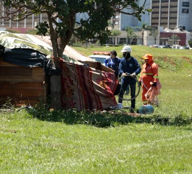 54341310787 71731bfbf5 k (7)