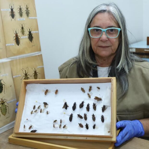 vilma ramos feitosa. foto sandro araújo agência saúde df