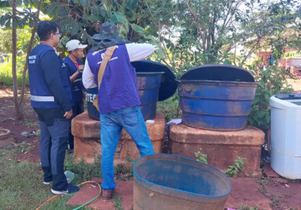 arbo chikungunya ministro classifica de crítica situação em dourados