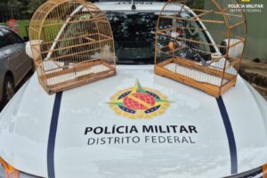 whatsapp image 2026 04 04 at 06.30.23