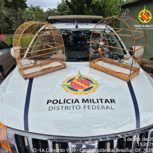 whatsapp image 2026 04 04 at 06.30.23