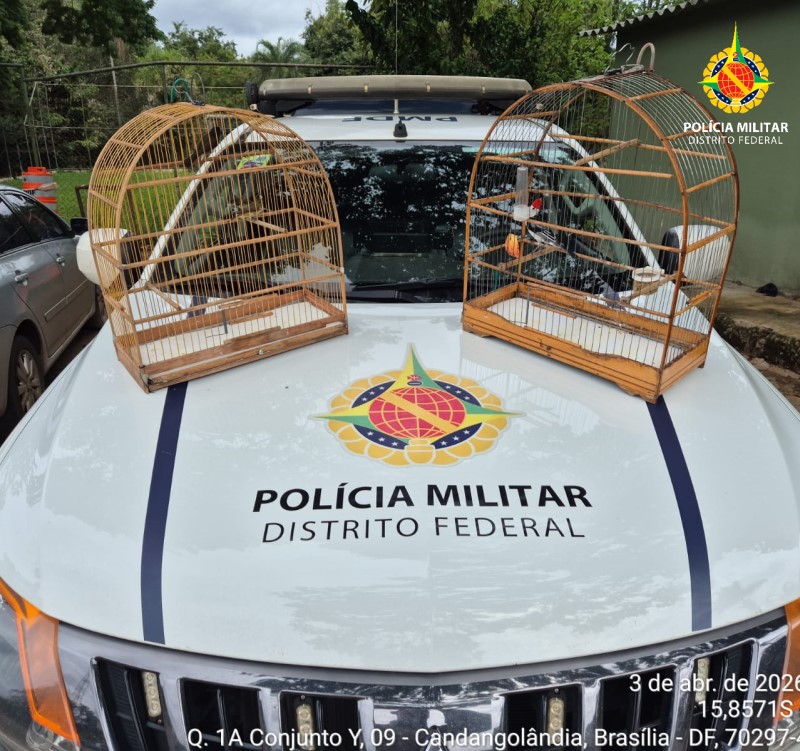 whatsapp image 2026 04 04 at 06.30.23