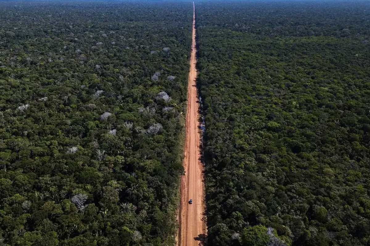 Governo Lula autoriza obras da BR-319 na amazônia sob críticas de ambientalistas