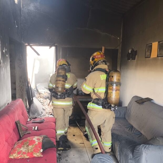 whatsapp image 2026 04 05 at 10.30.46 (1)