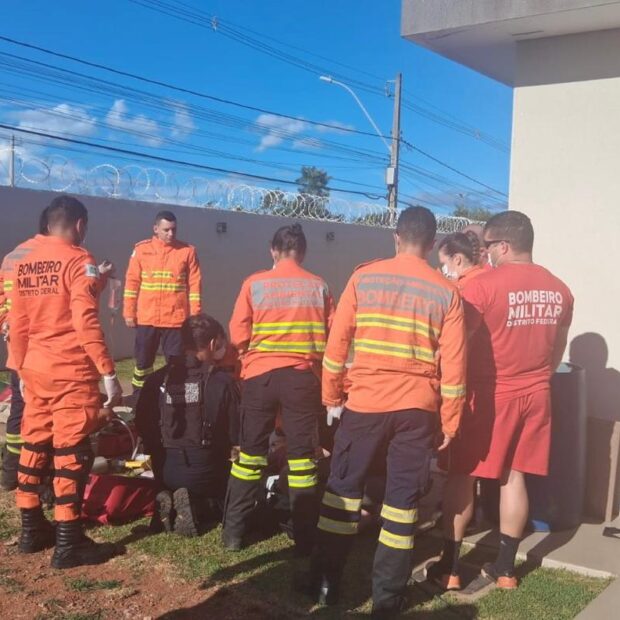 whatsapp image 2026 04 05 at 17.13.07