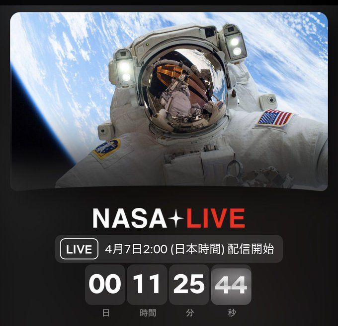 whatsapp image 2026 04 06 at 09.27.22