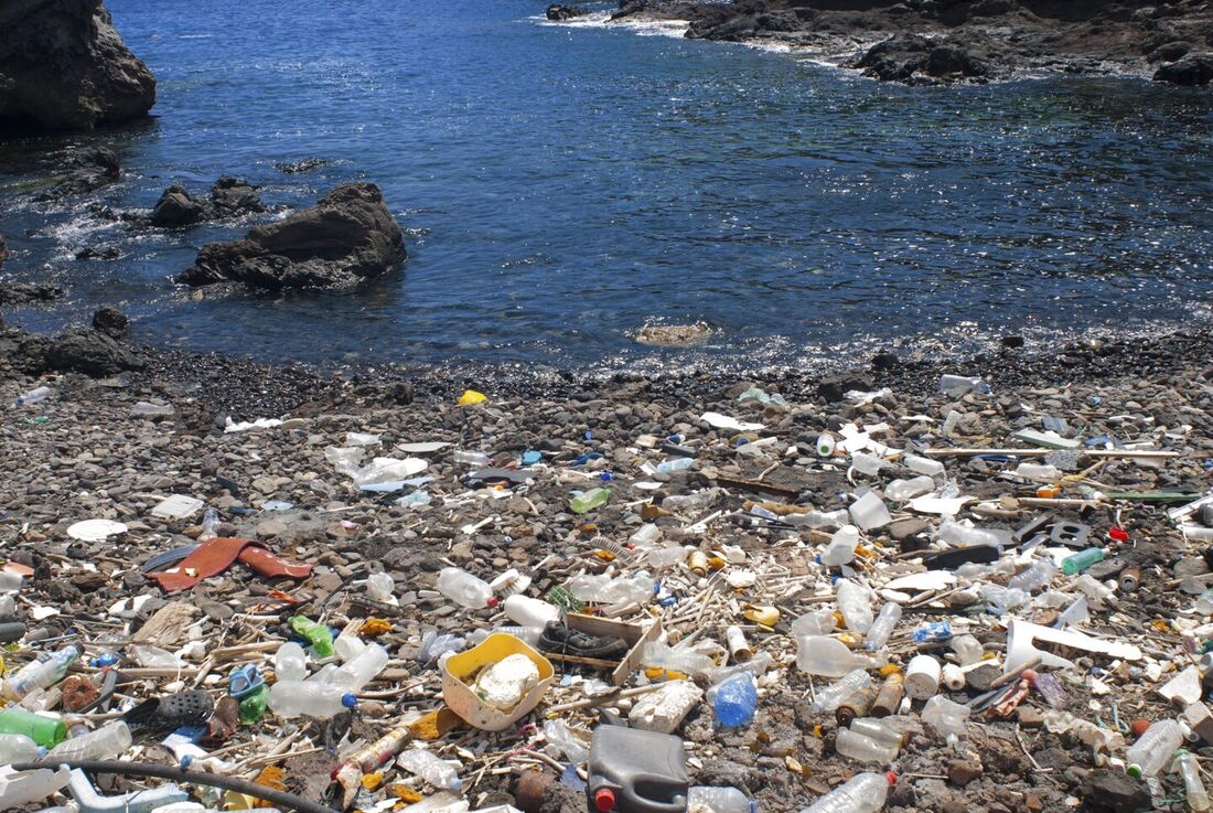 Foto: Sergio Hanquet/Biosphoto/AFP