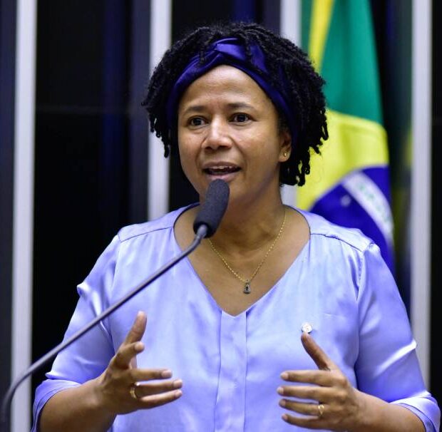 deputada silvia cristina