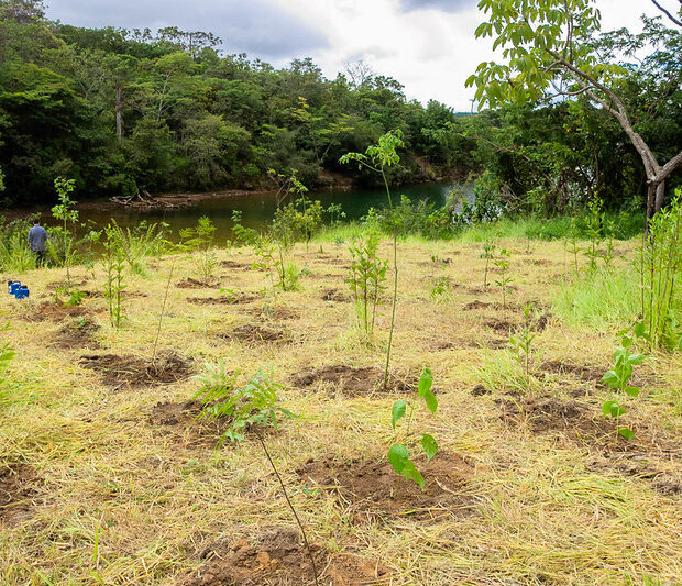 foto divulgação seagri (1)