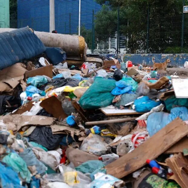 whatsapp image 2026 04 08 at 12.35.07