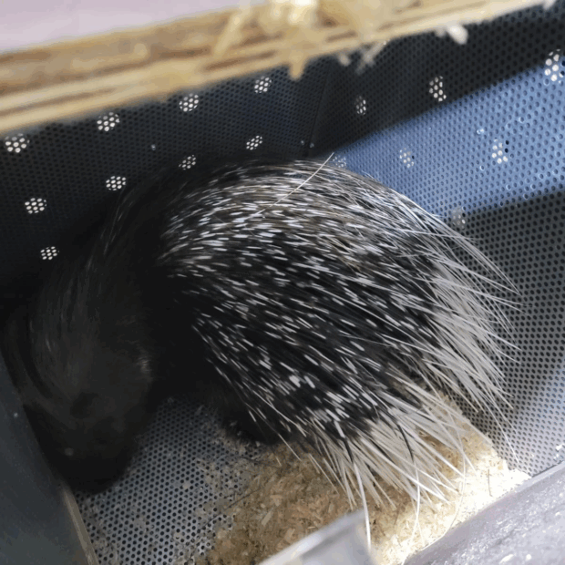 3=ugz6egm4czn2otbvnmlyjmavbxdydgqvjhzufwzspto0ido5yjnyitm6cmbw5syxmznivwnijdz2ctymnjy0ujz4izmmnzm4adzyemm2ykmlemm2ykmlctnwcjmgjtj2idmx8vl1etlf9vlwitlfpzm