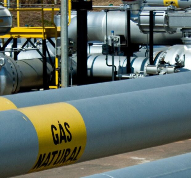 Foto Divulgação TBG