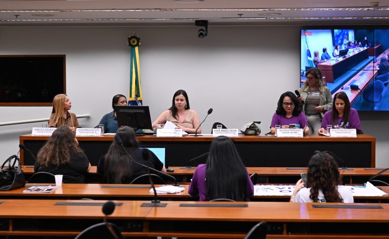 Foto: Zeca Ribeiro / Câmara dos Deputados