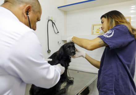 Foto: Lúcio Bernardo Jr./Agência Brasília