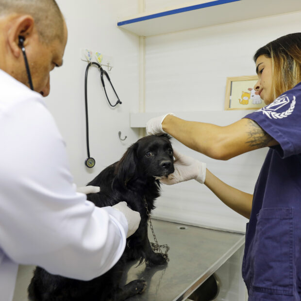 Foto: Lúcio Bernardo Jr./Agência Brasília