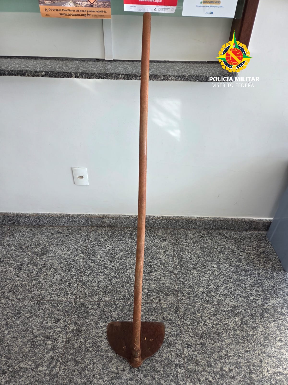 whatsapp image 2026 04 10 at 06.07.05