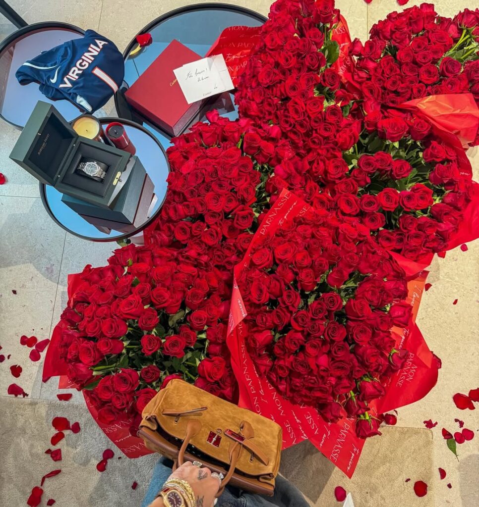 snapinsta.com.br 69d9174bc8717