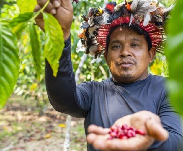 Foto: Divulgação Funai / MPI