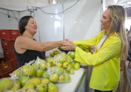 12.4. feira da goiaba. foto joel rodrigues agência brasília2