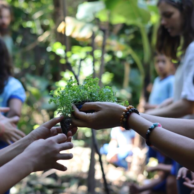 13.4. foto divulgação brasília ambiental