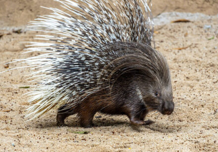 Foto: Leandro Ferreira Amaral/Divulgação